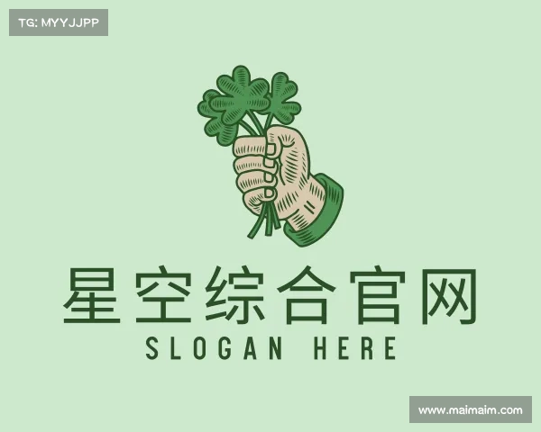 解读星空综合官网